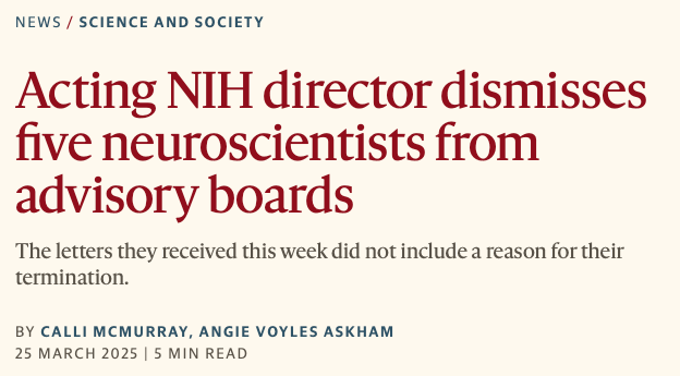 Acting NIH director dismisses five neuroscientists from advisory boards
The letters they received this week did not include a reason for their termination.
BY CALLI MCMURRAY, ANGIE VOYLES ASKHAM
25 MARCH 2025 | 5 MIN READ
