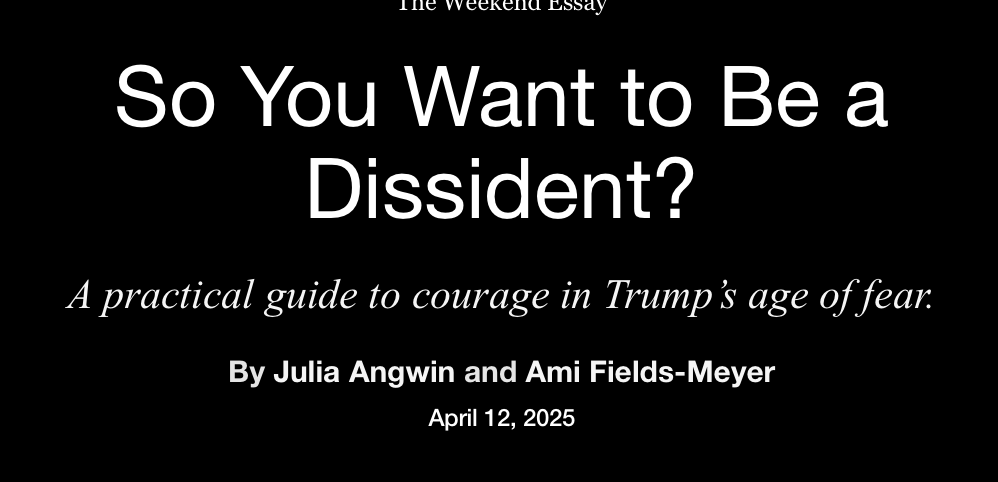 So You Want to Be a Dissident?
A practical guide to courage in Trump’s age of fear.
By Julia Angwin and Ami Fields-Meyer
April 12, 2025